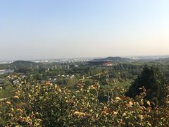-红螺寺