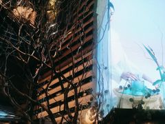 -桂满陇·海市蜃楼·黑金(国金店)