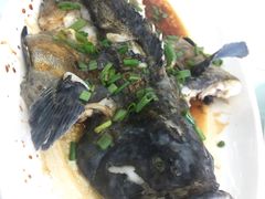 -渔中舟海鲜大排档(普陀沈家门店)