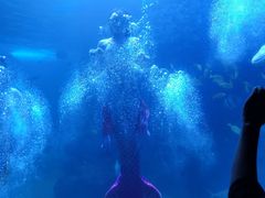 -左海海底世界