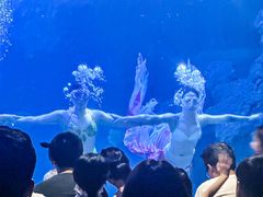 -左海海底世界