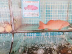 -范饭椰林川湘味海鲜·椰子鸡(三亚湾椰梦长廊店)