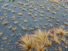 -夏威夷火山国家公园