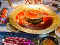-新哥老官·畅吃123·美蛙世界(苏宁广场店)