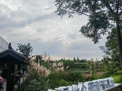 -白鹭湾湿地公园