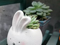 -后海16号·北京私房菜