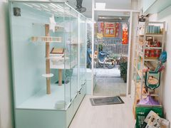 -猫宠乐园·专业洗护