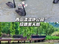 -西山漾湿地公园