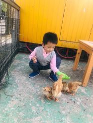-前小桔亲子创意农场·草莓采摘·露营烧烤