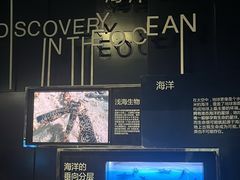 -同济大学四平路校区深海探索馆