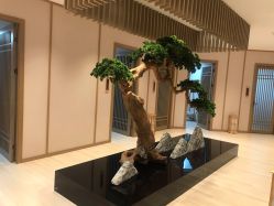 -HQ半永久纹绣纹眉