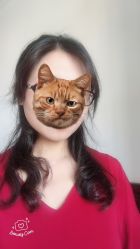 -红人馆造型世爵国际