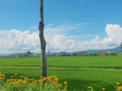 -凤凰山国家森林公园