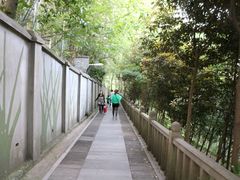 -上海佘山国家森林公园西佘山园