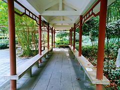-龙头寺公园