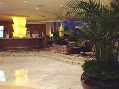 -上海浦东华美达大酒店