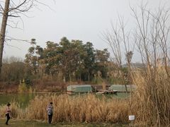 -白鹭湾湿地公园