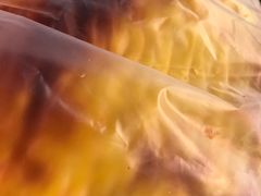 -派斯俊·本味(解放南路店)