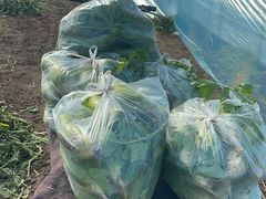 -老百姓大药房(大沽南路店)