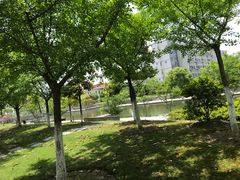 校内环境-江南大学(蠡湖校区)