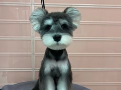 -FAELING PETS美天灵宠物(合生汇店)