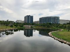 -宝安西湾红树林湿地公园