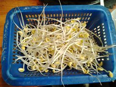 -五指山生态小黄牛(皮皮虾海鲜广场店)