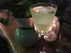 -Sirena海妖日咖夜酒