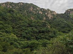 -大岭沟猕猴桃谷风景区