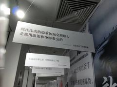 -成都失恋馆