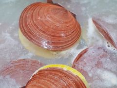 日月贝-凯华海鲜火锅·传承三十六年