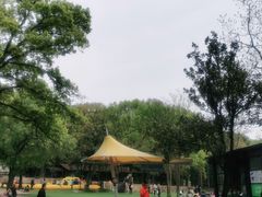 -WeLope紫金山探险公园