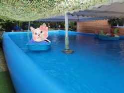 -萌宠亲子动物乐园(槐房万达店)