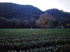 -西湖风景区十里琅珰-五云山