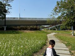 -怡海公园(桂城街道)