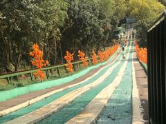 -千岛湖城中湖游船码头