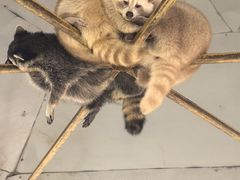 -国色天乡三期陆地乐园