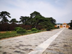 -清西陵