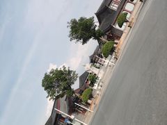 -八大山人梅湖景区