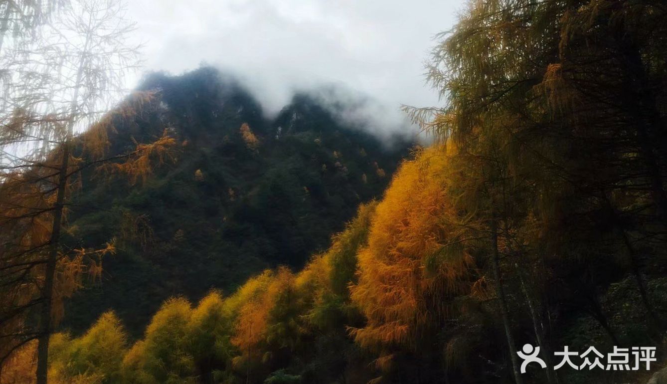成都周边网红打卡地,红叶徒步两不误