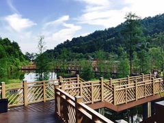 -神光山国家森林公园