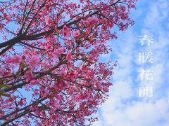 -河源客家文化公园