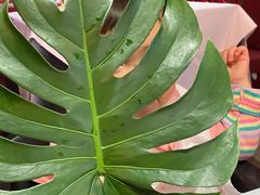 -藏素风格餐厅(大兴店)