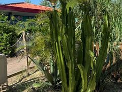 -玫瑰海岸文化旅游度假区
