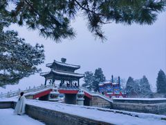 -颐和园