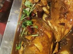 -邵年鸽(杨庄店)