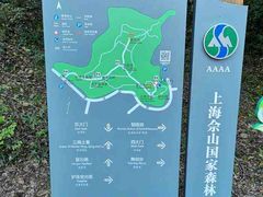 -上海佘山国家森林公园天马山园