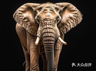 大脸一边吃，一边在念叨：坚持住，就吃一盘土豆丝