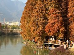 -星湖旅游景区七星岩