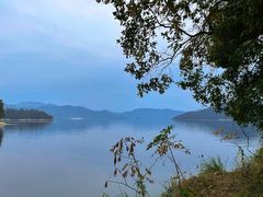 -千岛湖东南湖区
